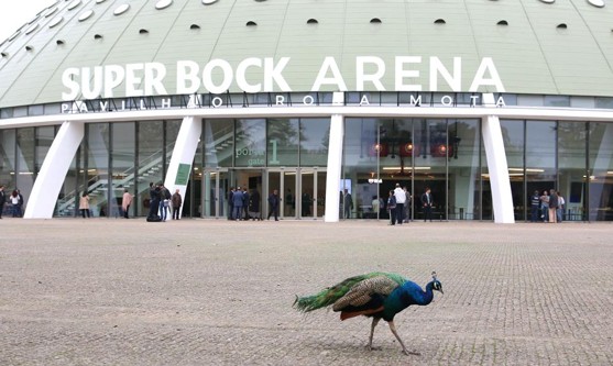 Super bock arena 2