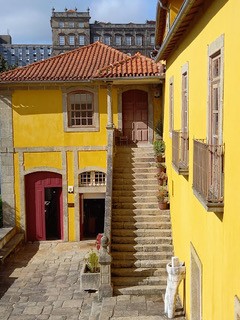 the Cooperativa Árvore